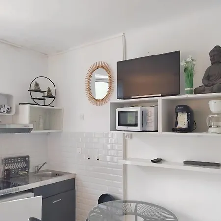 With A Beautiful View Of The Sea Of Apartment Anglet